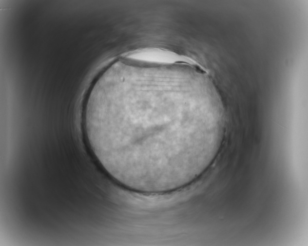 X0000088060006200706081659