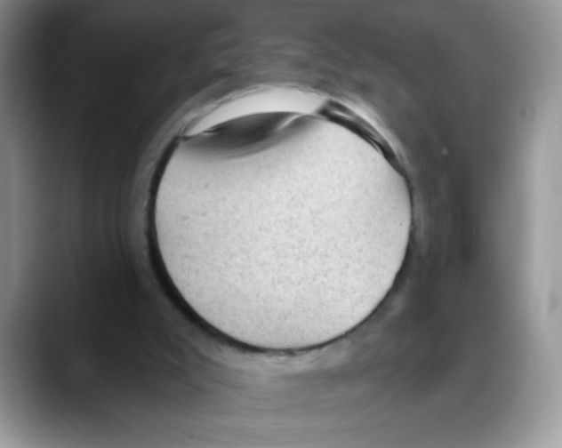 X0000088060007200706081659