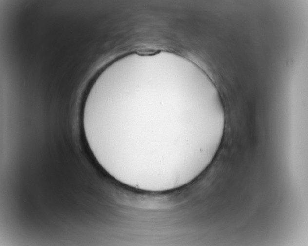 X0000088060008200706081659