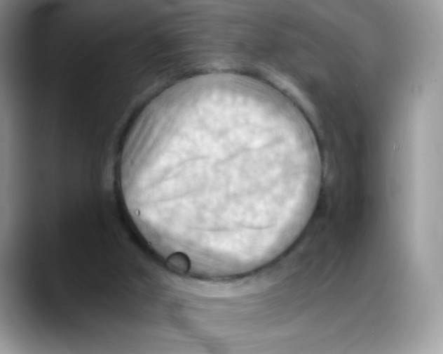 X0000088060010200706081658