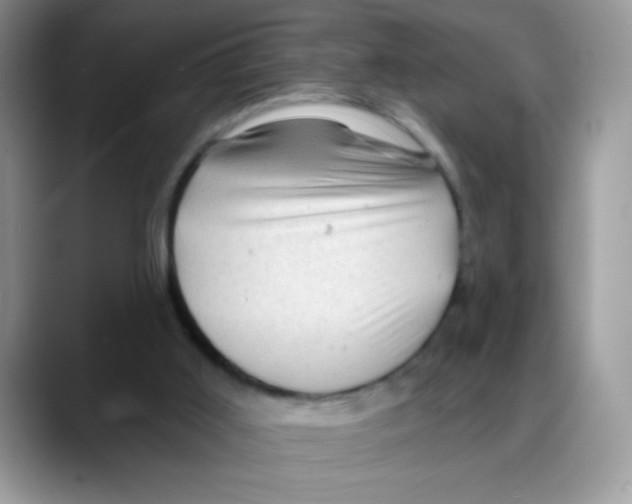 X0000088060011200706081658
