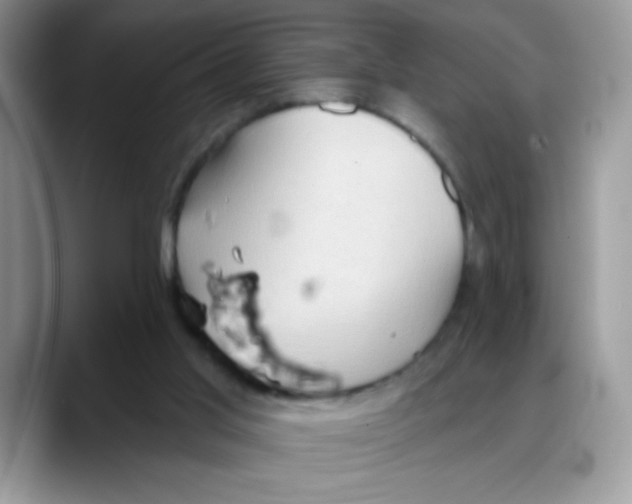X0000088060013200706081658