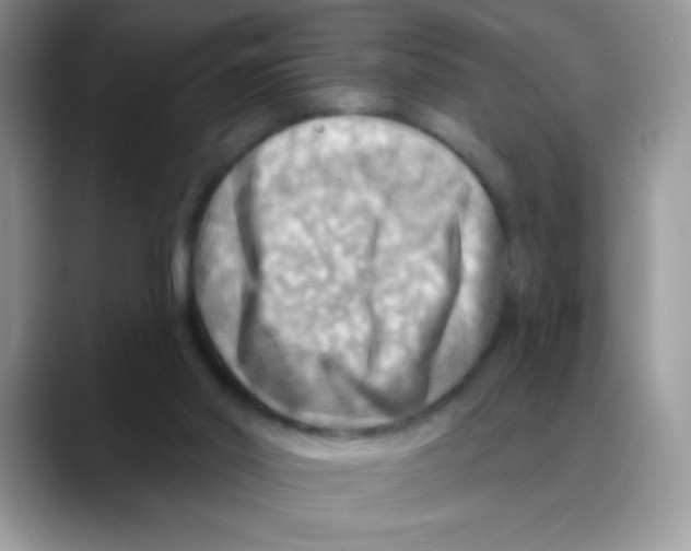 X0000088060014200706081658