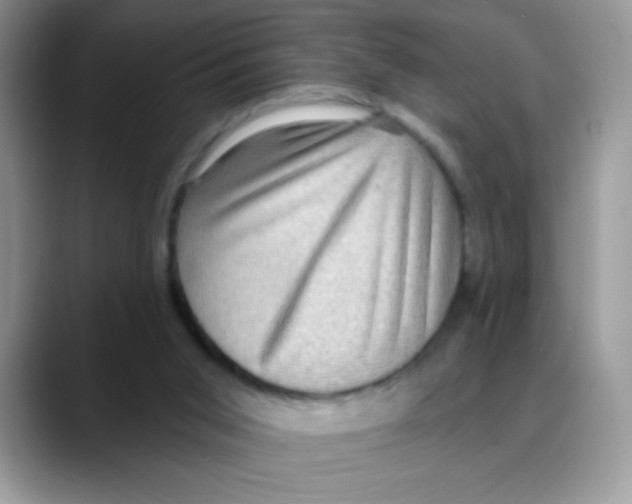 X0000088060015200706081658