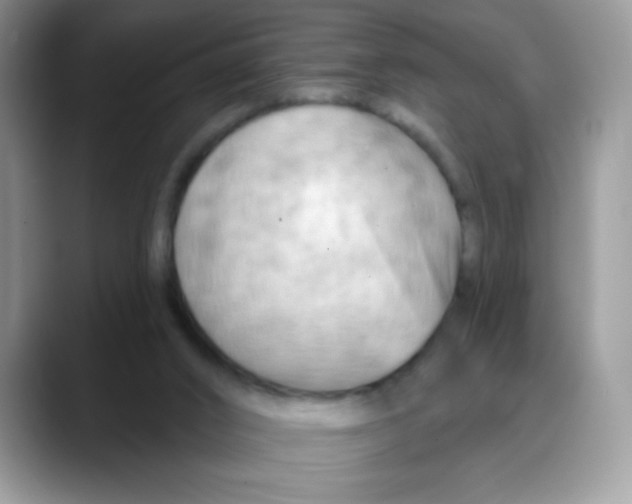 X0000088060016200706081658