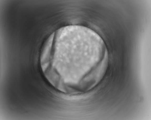 X0000088060018200706081658