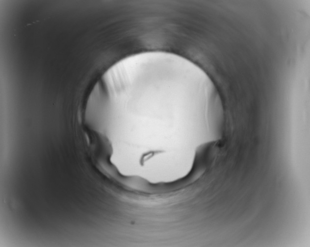 X0000088060019200706081658