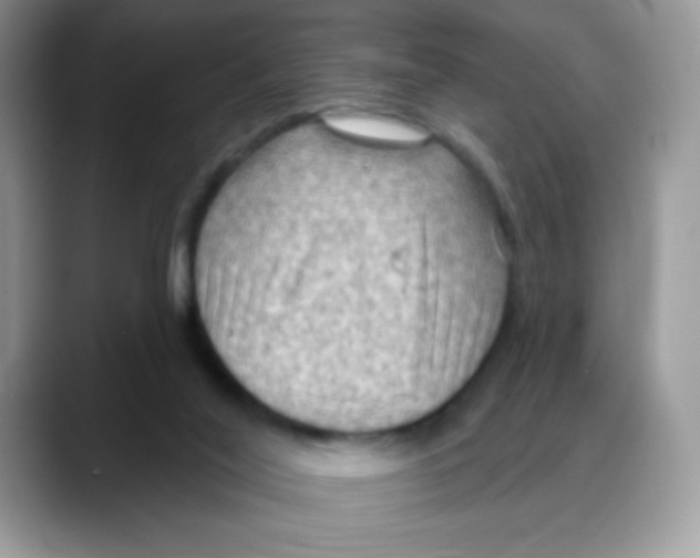 X0000088060020200706081658
