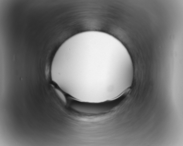 X0000088060021200706081658