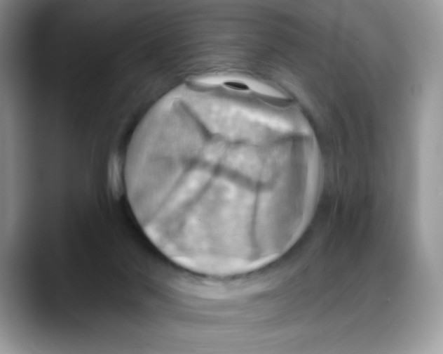 X0000088060022200706081658