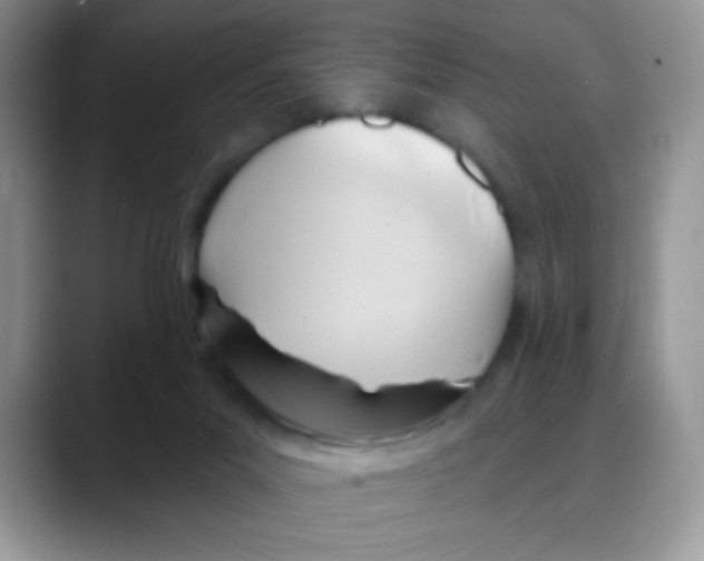 X0000088060023200706081658