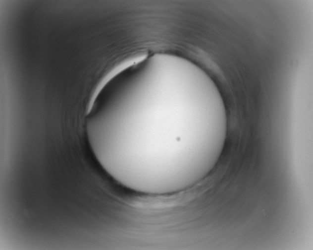 X0000088060025200706081658