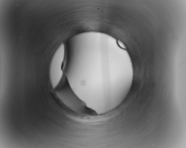 X0000088060027200706081658