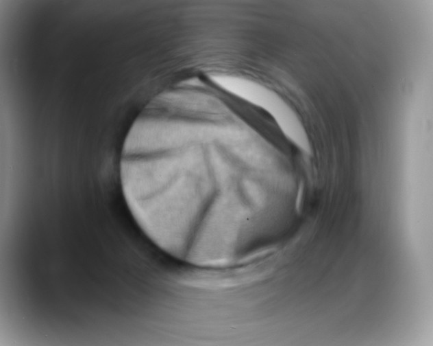X0000088060029200706081658