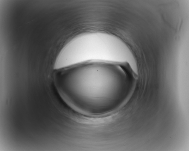 X0000088060031200706081658