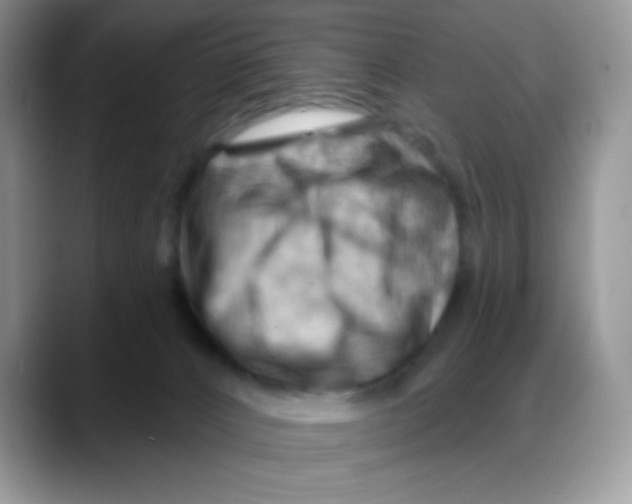 X0000088060032200706081658