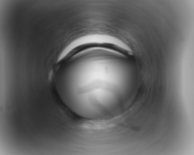 X0000088060033200706081658