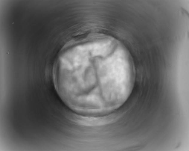 X0000088060034200706081658