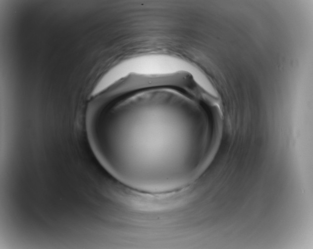 X0000088060035200706081658