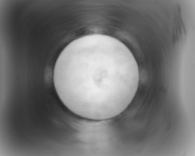 X0000088060036200706081658
