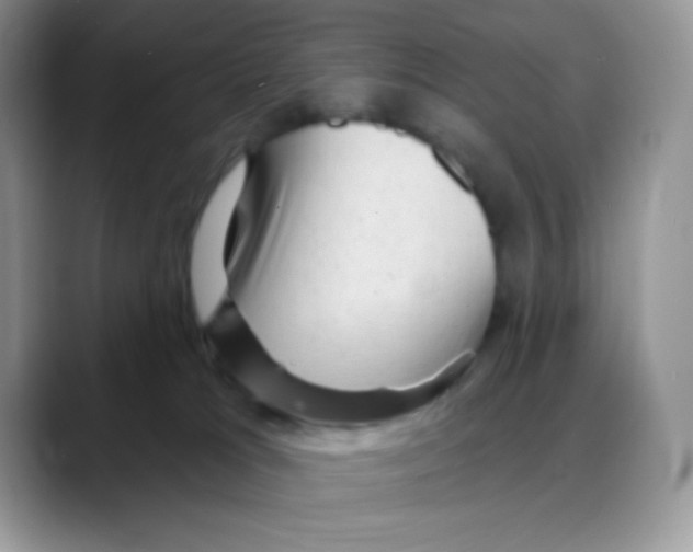 X0000088060037200706081658