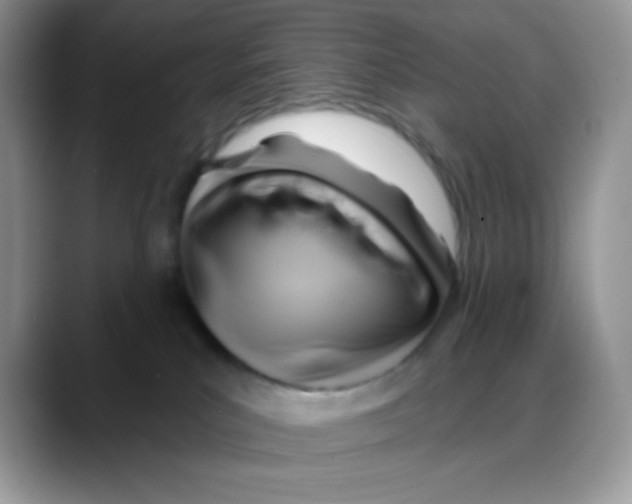X0000088060039200706081658