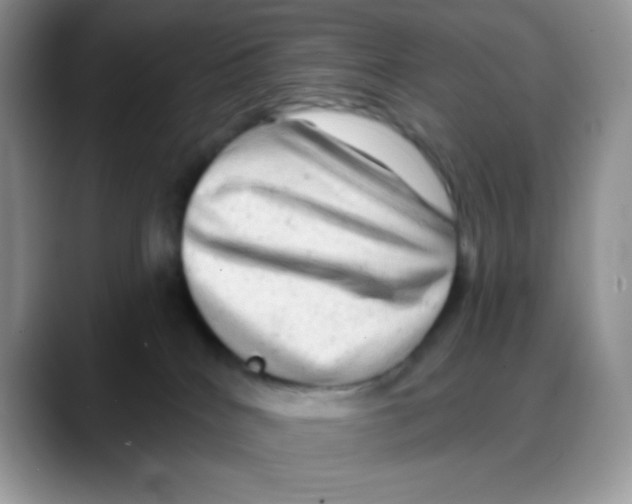 X0000088060040200706081658