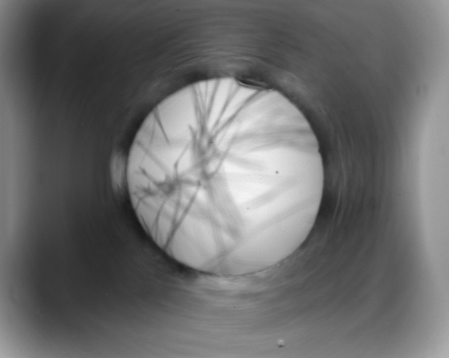 X0000088060041200706081658