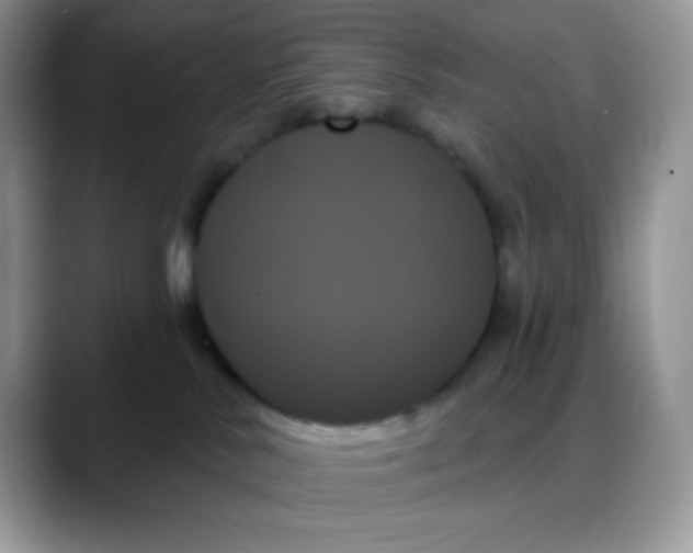 X0000088060042200706081658