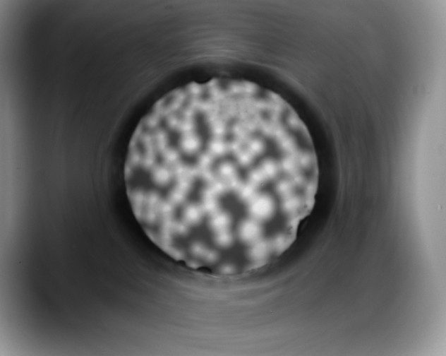 X0000088060043200706081658