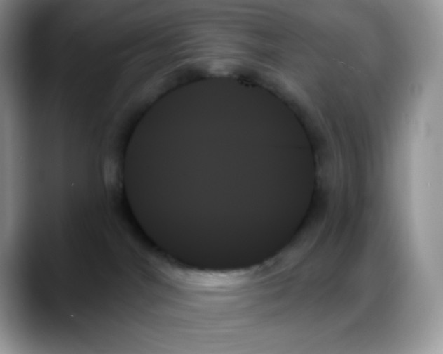 X0000088060044200706081658