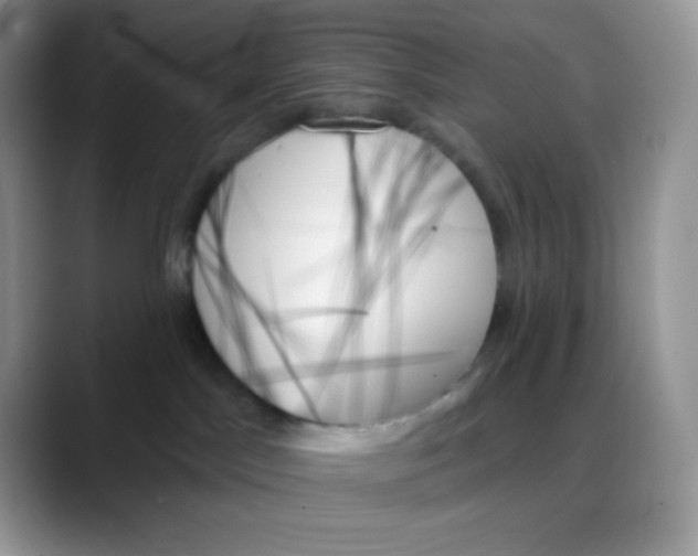 X0000088060045200706081658