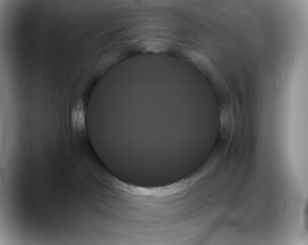 X0000088060046200706081658