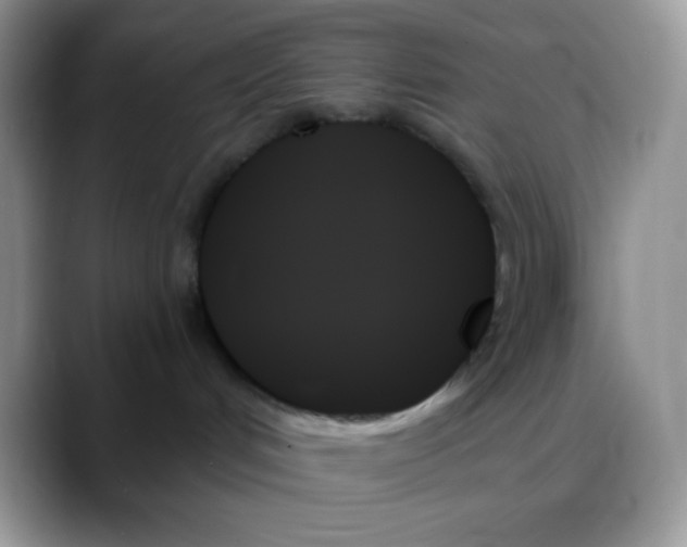 X0000088060048200706081658