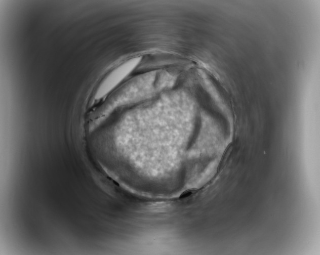 X0000088060050200706081657