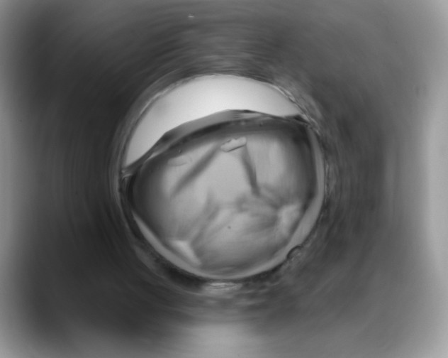 X0000088060051200706081657