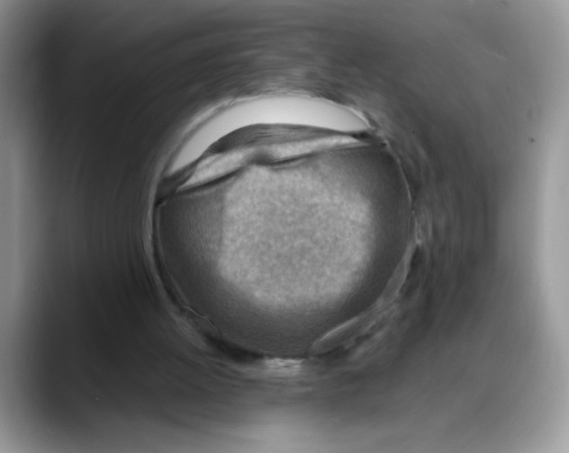 X0000088060052200706081657