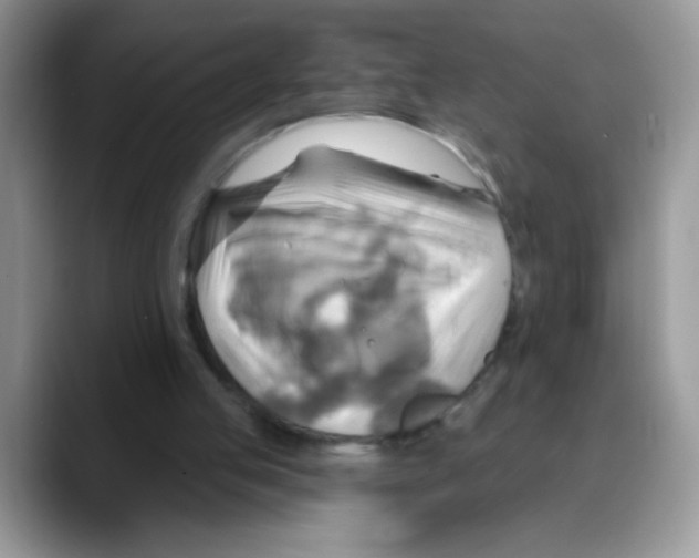 X0000088060053200706081657