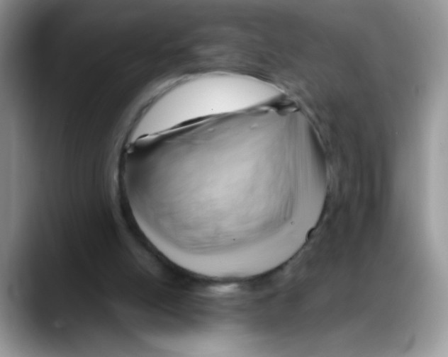 X0000088060054200706081657