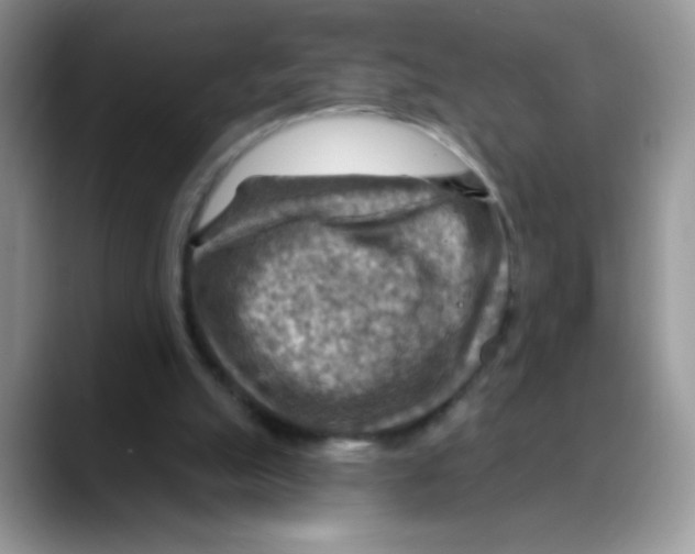 X0000088060055200706081657