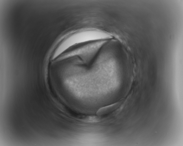 X0000088060056200706081657