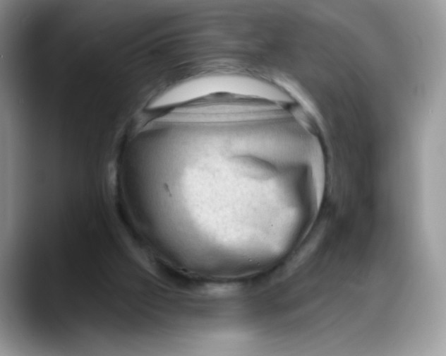 X0000088060057200706081657