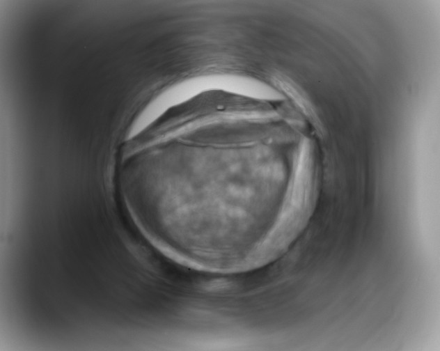 X0000088060058200706081657