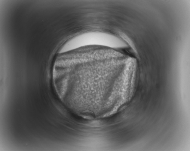 X0000088060059200706081657