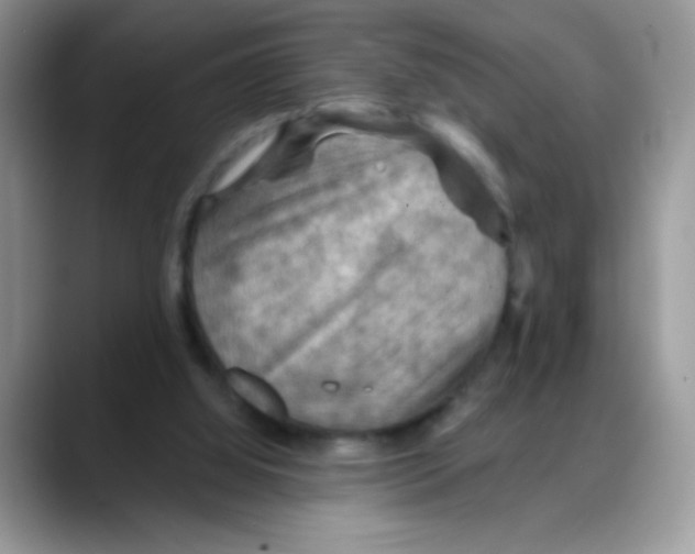 X0000088060060200706081658