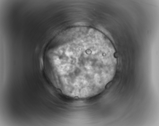 X0000088060061200706081658