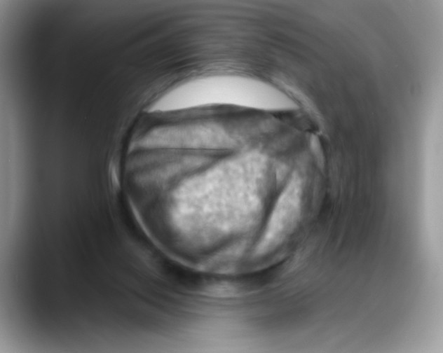 X0000088060062200706081658