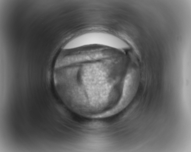 X0000088060063200706081658