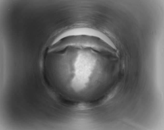 X0000088060064200706081658