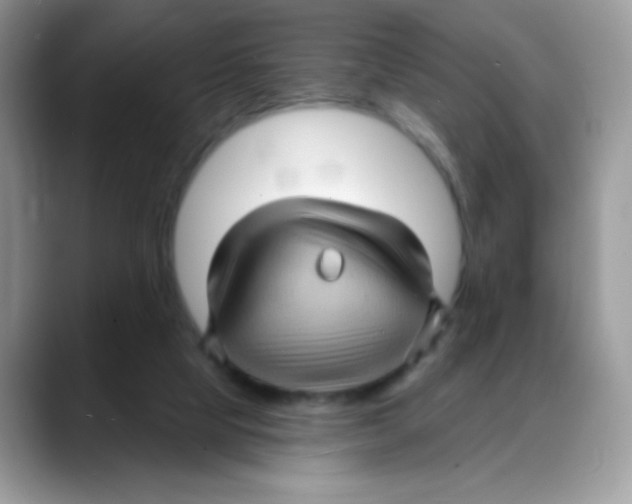 X0000088060065200706081658